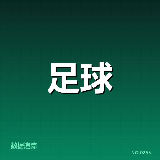 西班牙国王杯球场建设：设施升级与资金投入疑问